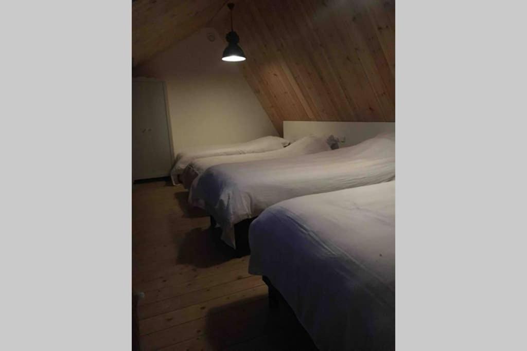 Ruim Appartement In Prachtige Fiets-Wandelomgeving Abcoude Exteriör bild