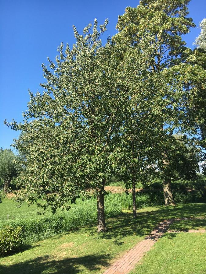 Ruim Appartement In Prachtige Fiets-Wandelomgeving Abcoude Exteriör bild